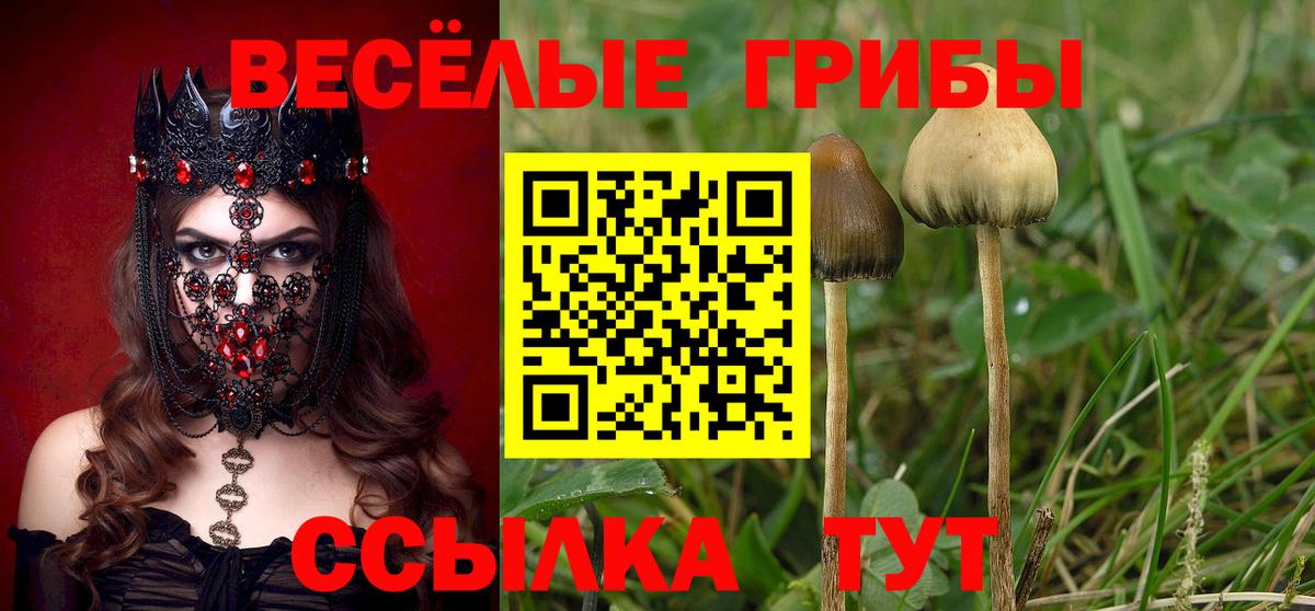 Галлюциногенные грибы Psilocybe  Галлюциногенные грибы Psilocybine cubensis  Вход с VPN  Кумертау 