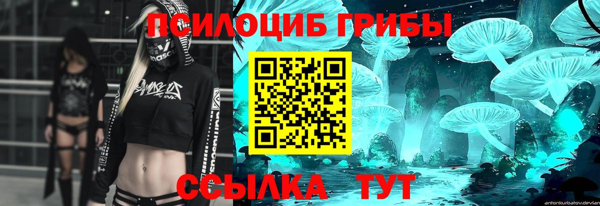Псилоцибиновые грибы Psilocybe Кумертау